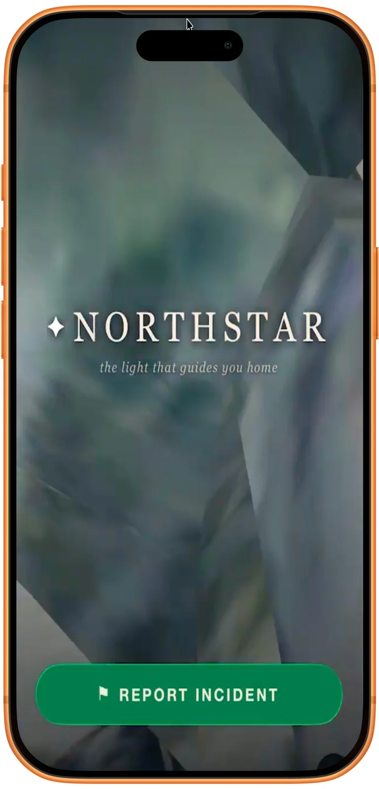 Northstar app screenshot 2